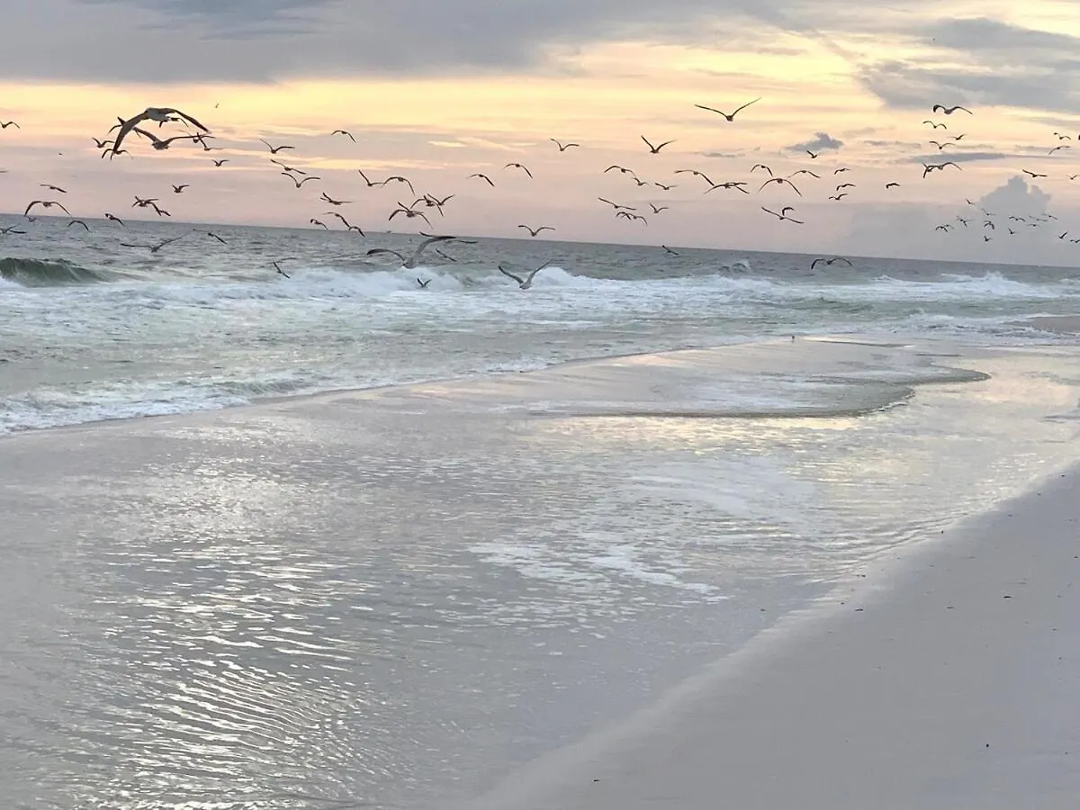Brand New, Steps To Beach, Gulf Views, Heated Pool بنما سيتي بيتش
